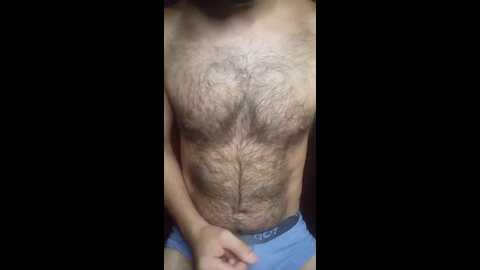 hairy198904 @ cam4 on 20240117