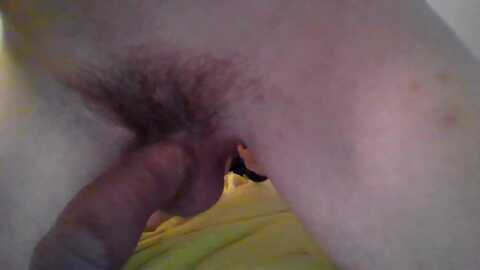 bi_anco @ cam4 on 20240119