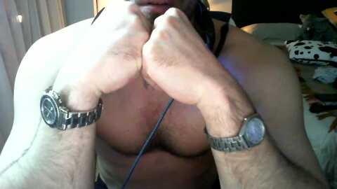 blitzshow01 @ cam4 on 20240412