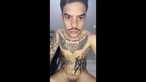 novin_tatuado23 @ cam4 on 20240427