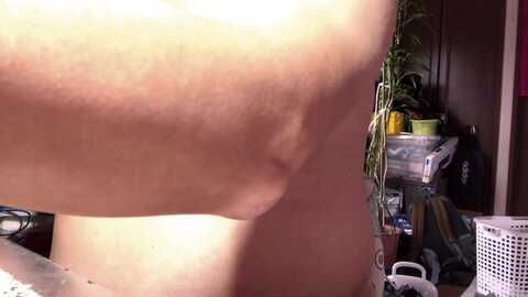 sato_pon @ cam4 on 20240501