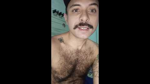 peludaosafado @ cam4 on 20240528