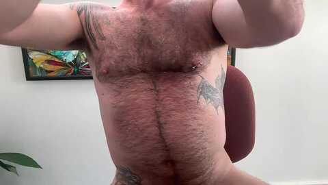 archiethedog @ cam4 on 20240602