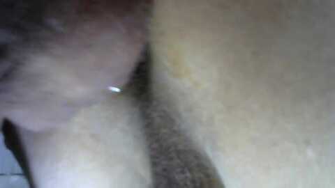 sadasadao2 @ cam4 on 20240608