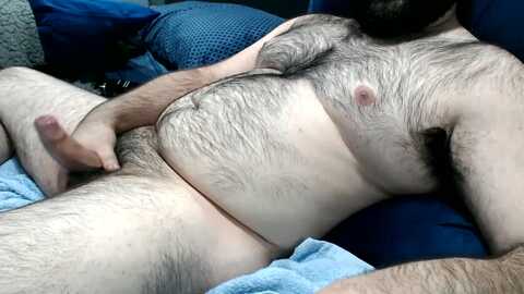 latinbearx @ cam4 on 20240613