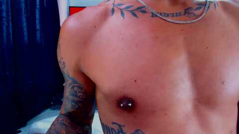 bravefeller1 @ cam4 on 20240628