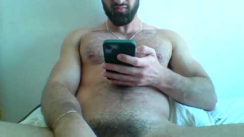 miguelsafadohot @ cam4 on 20240712