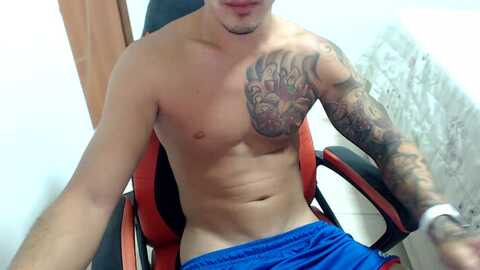 gato_dtado @ cam4 on 20240725