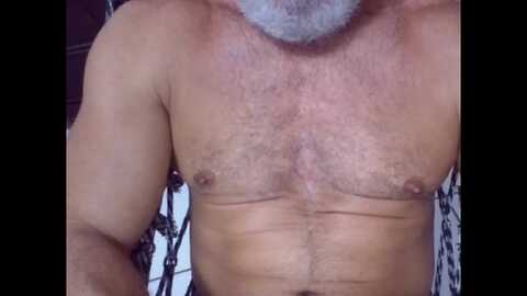 hornydad_br @ cam4 on 20240726