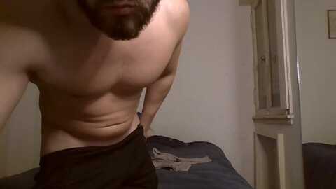 muscled_lion @ cam4 on 20240727