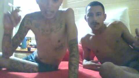 db_dot22 @ cam4 on 20240729