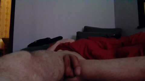 dickwolf91 @ cam4 on 20240730