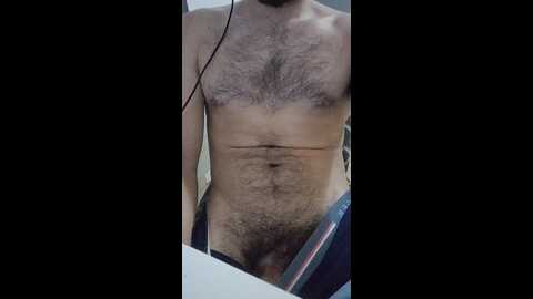 chinolocoxxx @ cam4 on 20240802