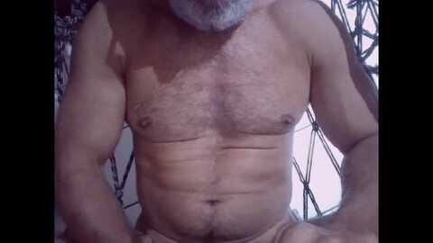 hornydad_br @ cam4 on 20240803