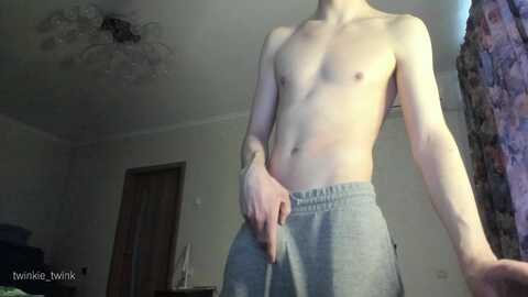 twinkie_twink @ chaturbate on 20240120