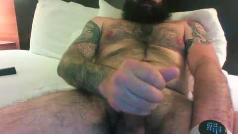 beardedgent91 @ chaturbate on 20240223