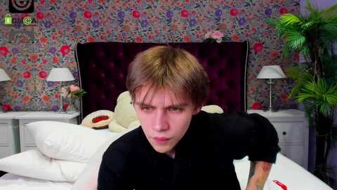 aristarkh_ @ chaturbate on 20240302