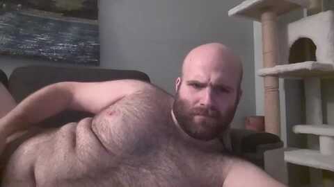 hairiestbear @ chaturbate on 20240308