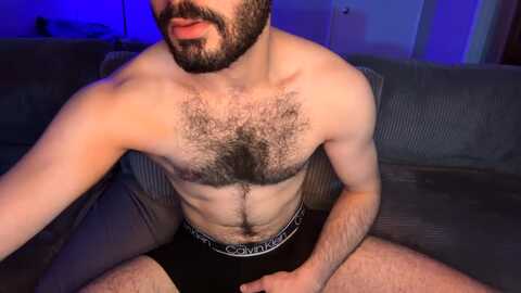 zayn_hawk @ chaturbate on 20240309