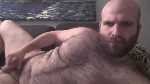 hairiestbear @ chaturbate on 20240324