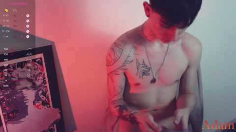 adam_faust @ chaturbate on 20240407