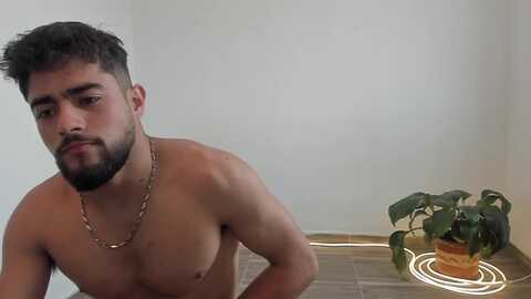 noahbrawn @ chaturbate on 20240411