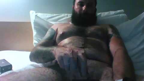 beardedgent91 @ chaturbate on 20240417