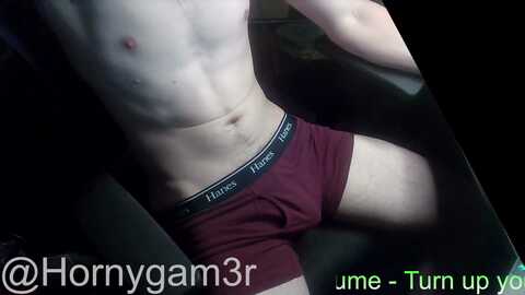 hornygam3r @ chaturbate on 20240418