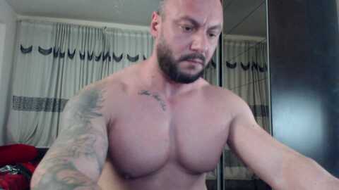 adonis_dionysos @ chaturbate on 20240423