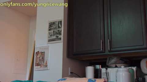 yungricewang @ chaturbate on 20240526