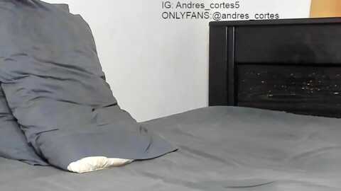 andres_cortes5 @ chaturbate on 20240529