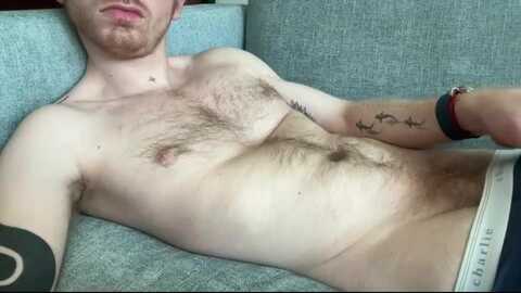 hairycock6969 @ chaturbate on 20240531