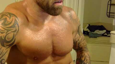 loganjackson219 @ chaturbate on 20240606