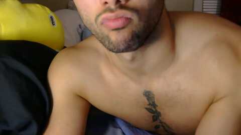 zanedavis7744 @ chaturbate on 20240607