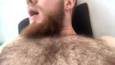 hairymonstercockkerik @ chaturbate on 20240626