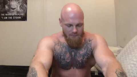 bodybuilderyg @ chaturbate on 20240627