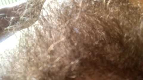 hairygiganticcockpornactorerik @ chaturbate on 20240705