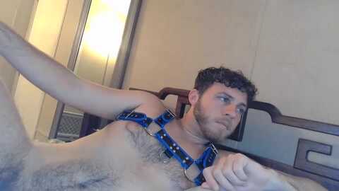 johnnytreetops1 @ chaturbate on 20240706