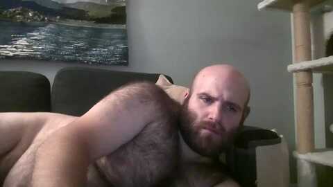 hairiestbear @ chaturbate on 20240716