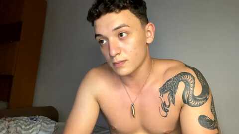 mikelaur @ chaturbate on 20240725