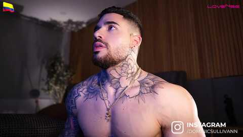 dominic_sullivan1 @ chaturbate on 20240726