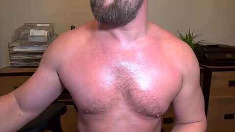 mister_dilf @ chaturbate on 20240731