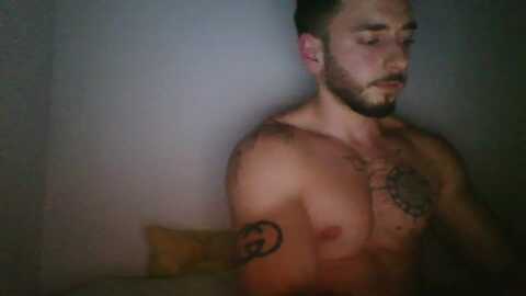 theredbobby @ chaturbate on 20240731