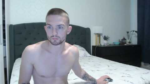 marselle_looker @ chaturbate on 20240801