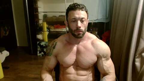 stevebulkzor @ chaturbate on 20240802